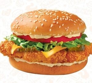 Spicy Chicken Sandwich Only